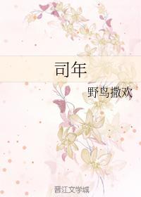 司年封面