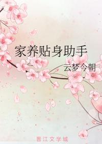 家养贴身助手封面