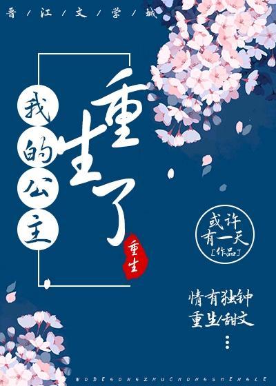 我的公主重生了封面