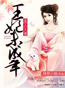 夫人入侵之王妃未成年封面