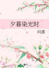 夕暮染光时封面