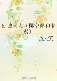 幻城同人（樱空释和卡索）封面