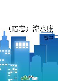 （暗恋）流水账封面