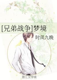 [兄弟战争]梦境封面