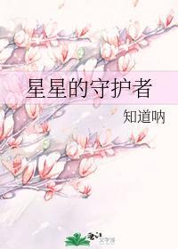 星星的守护者封面