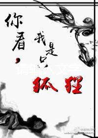你看，我是只狐貍封面
