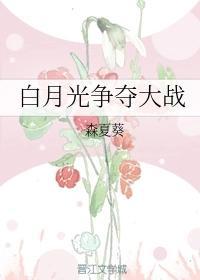 白月光争夺大战封面