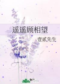 遥遥顾相望封面