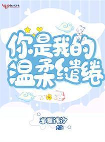 你是我的温柔缱绻封面