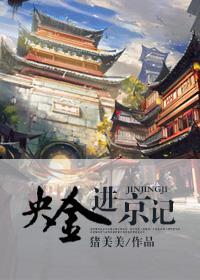 央金进京记封面