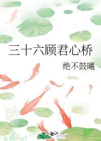 三十六顾君心桥封面