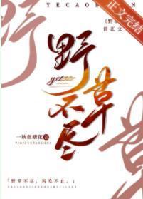 野草不尽封面