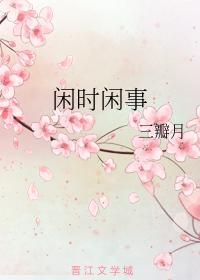 闲时闲事封面