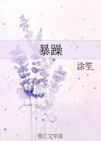 暴躁封面
