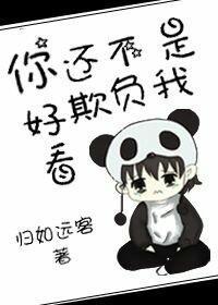 你还不是欺负我好看封面
