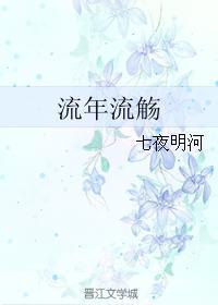 流年流觞封面