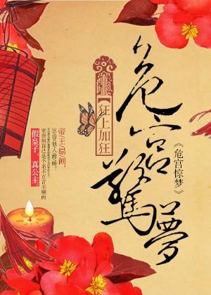 危宫惊梦封面