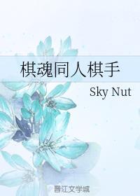 棋魂同人棋手封面
