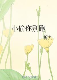 小偷你别跑封面