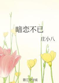 暗恋不已封面