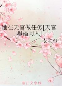 她在天官做任务[天官赐福同人]封面