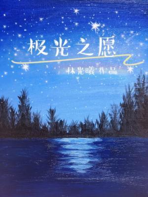 极光之愿封面