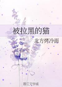 被拉黑的猫封面