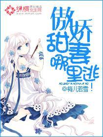 傲娇甜妻哪裏逃封面