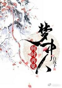 何时再见梦中人封面