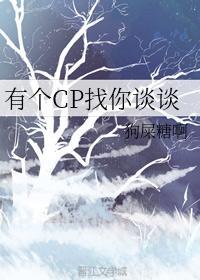 有个CP找你谈谈封面