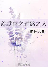 综武侠之过路之人封面