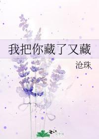 我把你藏了又藏封面