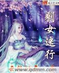 剩女迷行封面