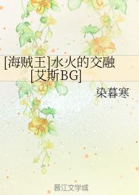 [海贼王]水火的交融[艾斯BG]封面