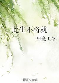 此生不将就封面