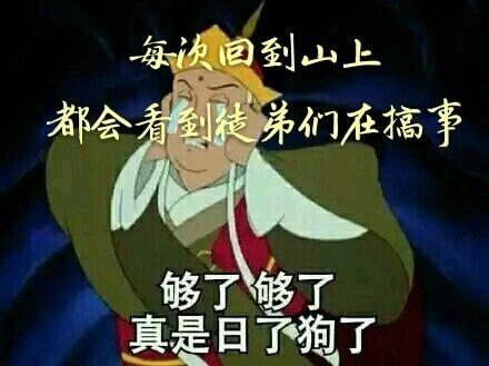 每次回到山上都会看到徒弟们在搞事封面