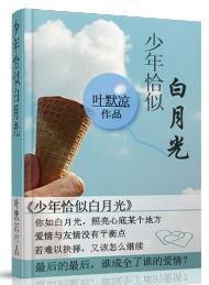 少年恰似白月光封面