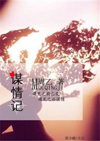 谋情记封面