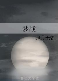 梦战封面