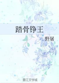 踏骨铮王封面