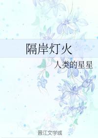 隔岸灯火封面