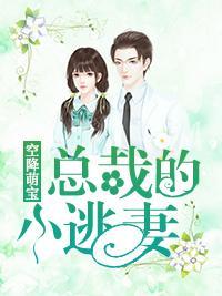 空降萌宝:总裁的小逃妻封面