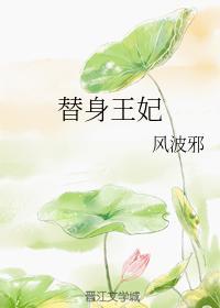 替身王妃封面