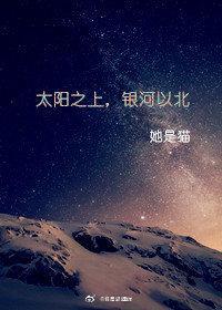 太阳之上，银河以北封面