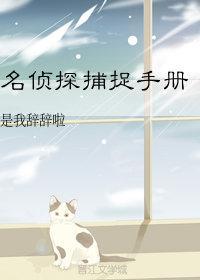 名侦探捕捉手册封面
