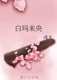 白玛未央封面