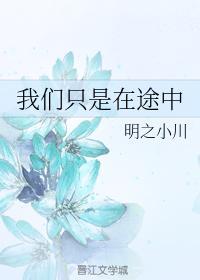 我们只是在途中封面