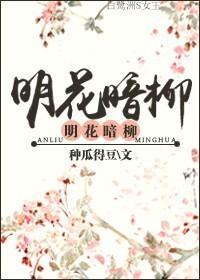 明花暗柳封面