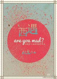 西遇封面