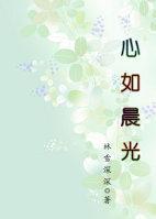 心如晨光封面